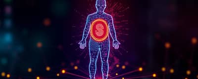 La huella digital: Un nuevo aval para tu crédito